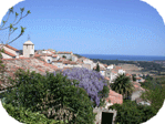 vignette droite
