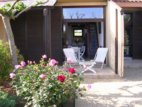 studio-standard-3.gif