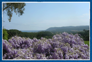 Vue depuis le 2 pi�ces