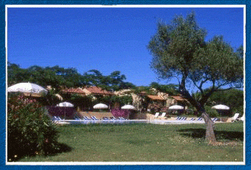 piscine vue de la vigne